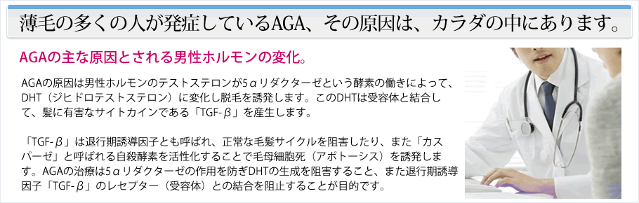 薄毛の多くの人が発症しているAGA、その原因は、カラダの中にあります。